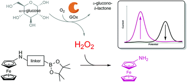 Ratiometric electrochemical detection of hydrogen peroxide and glucose -  Organic & Biomolecular Chemistry (RSC Publishing)