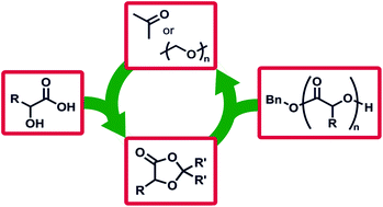 A broad scope of aliphatic polyesters prepared by elimination of small  molecules from sustainable 1,3-dioxolan-4-ones - Polymer Chemistry (RSC  Publishing)