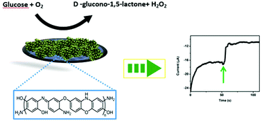 Poly O Aminophenol Prepared By Cu Ii Catalyzed Air Oxidation And Its Use As A Bio Sensing Architecture Polymer Chemistry Rsc Publishing