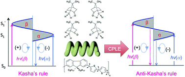 The origin of bisignate circularly polarized luminescence (CPL) spectra  from chiral polymer aggregates and molecular camphor: anti-Kasha's rule  revealed by CPL excitation (CPLE) spectra - Polymer Chemistry (RSC  Publishing)