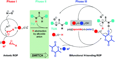 A Switch From Anionic To Bifunctional H Bonding Catalyzed Ring Opening Polymerizations Towards Polyether Polyester Diblock Copolymers Polymer Chemistry Rsc Publishing