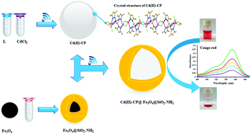 Selective High Adsorption Capacity For Congo Red Dye Of A New 3d Supramolecular Complex And Its Magnetic Hybrid Inorganic Chemistry Frontiers Rsc Publishing