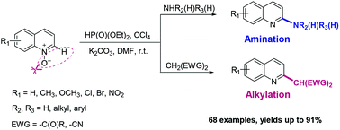 A Direct Metal Free C2 H Functionalization Of Quinoline N Oxides A Highly Selective Amination And Alkylation Strategy Towards 2 Substituted Quinolines Organic Chemistry Frontiers Rsc Publishing