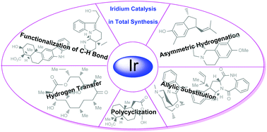 Total Synthesis Of Natural Products Via Iridium Catalysis - 