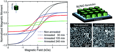 Annealing effects on the magnetic properties of highly-packed  vertically-aligned nickel nanotubes - RSC Advances (RSC Publishing)