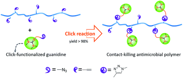 Development of contact-killing non-leaching antimicrobial guanidyl-functionalized polymers via ...