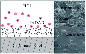 Adsorption Behavior Of The Copolymer Am Dmc Apeg Dmaac 16 On A Carbonate Rock And Its Application For Acidizing Rsc Advances Rsc Publishing