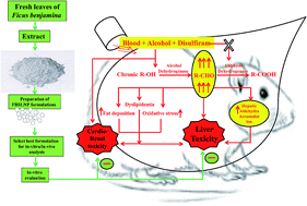 chloroquine medicine in pakistan