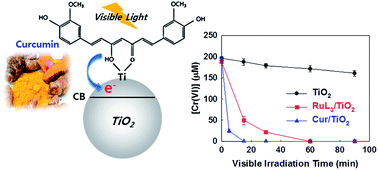 Visible light sensitization of TiO2 nanoparticles by a dietary pigment ...