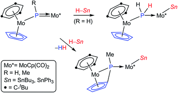 Sn H Bond Additions To Asymmetric Trigonal Phosphinidene Bridged Dimolybdenum Complexes Rsc Advances Rsc Publishing