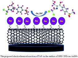 A screen printed carbon electrode modified with carbon nanotubes and gold  nanoparticles as a sensitive electrochemical sensor for determination of  thiamphenicol residue in milk - RSC Advances (RSC Publishing)