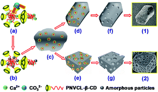 Bioinspired Fabrication Of Macroporous Calcium Carbonate Crystals Mediated By Thermoresponsive Copolymers Rsc Advances Rsc Publishing