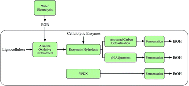 An Electrogenerated Base For The Alkaline Oxidative Pretreatment Of Lignocellulosic Biomass To Produce Bioethanol Rsc Advances Rsc Publishing