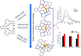 Fluorescence Properties Of Heterotrinuclear Zn Ii M Ii M Ca Sr And Ba Bis Salamo Type Complexes Rsc Advances Rsc Publishing