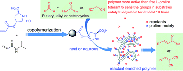 Poly N Isopropylacrylamide Co L Proline Catalyzed Claisen Schmidt And Knoevenagel Condensations Unexpected Enhanced Catalytic Activity Of The Polymer Catalyst Rsc Advances Rsc Publishing