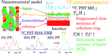 Integrated Analysis Of Solid State Nmr Spectra And Nuclear Magnetic Relaxation Times For The Phenol Formaldehyde Pf Resin Impregnation Process Into Soft Wood Rsc Advances Rsc Publishing