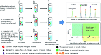 An In Vitro Affinity-based Method For Studying Herb–drug Interactions ...