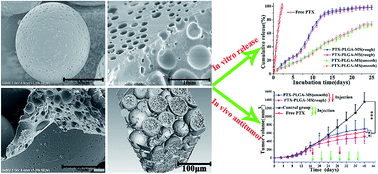 Paclitaxel-loaded PLGA microspheres with a novel morphology to