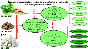 Products Of Sugar Beet Processing As Raw Materials For Chemicals And Biodegradable Polymers Rsc Advances Rsc Publishing