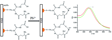 glutathione nanoparticles Glutathione modified Ag2Te nanoparticles as a resonance Rayleigh scattering  sensor for highly sensitive and selective determination of cytochrome C