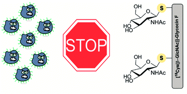 Total chemical synthesis of glycocin F and analogues: S-glycosylation ...