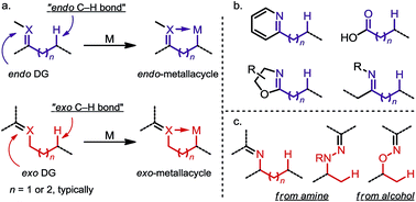 Sp3 C H Activation Via Exo Type Directing Groups Chemical Science Rsc Publishing