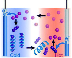 Thermo-electrochemical cells empowered by selective inclusion of redox