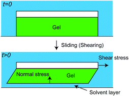 Shear Induced Formation Of Lubrication Layers Of Negative Normal Stress Gels Soft Matter Rsc Publishing