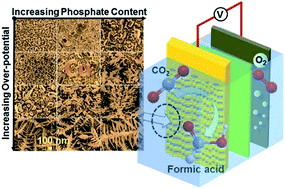 electrodeposition of copper