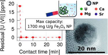 Functionalised Magnetic Nanoparticles For Uranium Adsorption With Ultra High Capacity And Selectivity Journal Of Materials Chemistry A Rsc Publishing