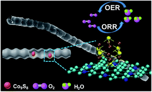 Earthworm Like N S Doped Carbon Tube Encapsulated Co9s8 Nanocomposites Derived From Nanoscaled Metal Organic Frameworks For Highly Efficient Bifunctional Oxygen Catalysis Journal Of Materials Chemistry A Rsc Publishing