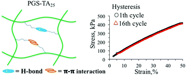 Tyramine Functionalization Of Poly Glycerol Sebacate Increases The Elasticity Of The Polymer Journal Of Materials Chemistry B Rsc Publishing