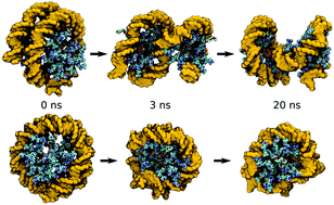 Transfection Capable Polycationic Nanovectors Which Include Pegylated Cyclodextrin Structural Units A New Synthesis Pathway Journal Of Materials Chemistry B Rsc Publishing