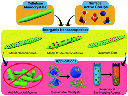Cellulose Nanocrystal Cncinorganic Hybrid Systems - 