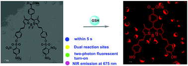 Synthesis of a BODIPY disulfonate near-infrared fluorescence-enhanced probe  with high selectivity to endogenous glutathione and two-photon fluorescent  turn-on through thiol-induced SNAr substitution - Journal of Materials  Chemistry B (RSC Publishing)
