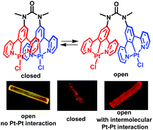 Regulation Of Intra And Intermolecular Pt Pt And P P Interactions Of A U Shaped Diplatinum Complex To Achieve Pseudo Polymorphic Emissions In Solution And Crystalline States Journal Of Materials Chemistry C Rsc Publishing