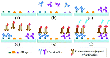 An automatic integrated microfluidic system for allergy microarray ...