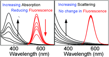 Scattering and absorption differ drastically in their inner filter