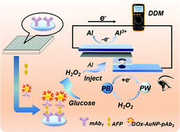 A New Enzyme Immunoassay For Alpha Fetoprotein In A Separate Setup Coupling An Aluminium Prussian Blue Based Self Powered Electrochromic Display With A Digital Multimeter Readout Analyst Rsc Publishing