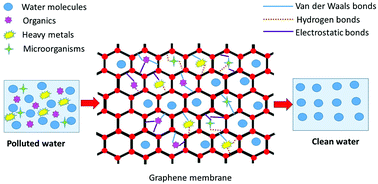 Graphene, electrospun membranes and granular activated carbon for