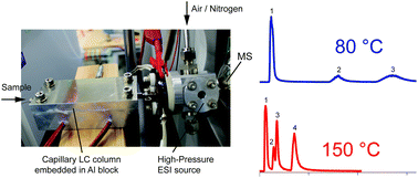 Hyphenation of high-temperature liquid chromatography with high ...