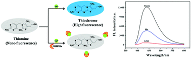 Highly sensitive fluorescent detection of glutathione and histidine based  on the Cu(ii)-thiamine system
