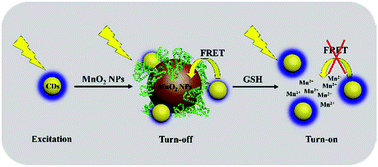 glutathione or kojic acid Cell death in cancer: Cell
