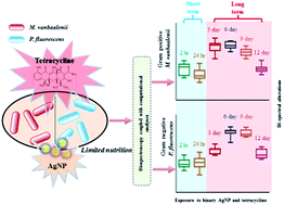 Exposure To Antimicrobials During >> Spectrochemical Determination Of Unique Bacterial Responses Exposure To Antimicrobials During >> Spectrochemical Determination Of Unique Bacterial Responses