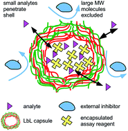 Microcapsules as assay compartments formed through layer-by-layer ...