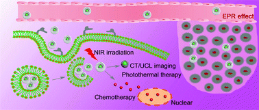 A smart tumor microenvironment responsive nanoplatform based on