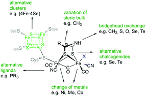 Fefe Hydrogenases Recent Developments And Future Perspectives Chemical Communications Rsc Publishing
