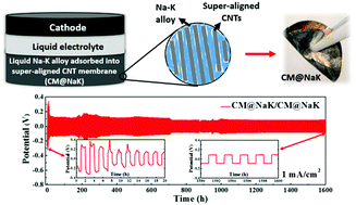 Room Temperature Liquid Metal Based Anodes For High Energy