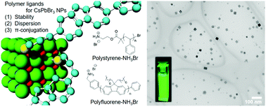 Functional polymers for growth and stabilization of CsPbBr3 perovskite