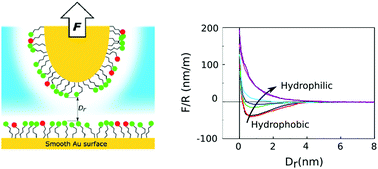 hydrophilic hydrophobic membrane proton rsc electrolyte transition characterizing structuring mimicking surfaces exchange pubs